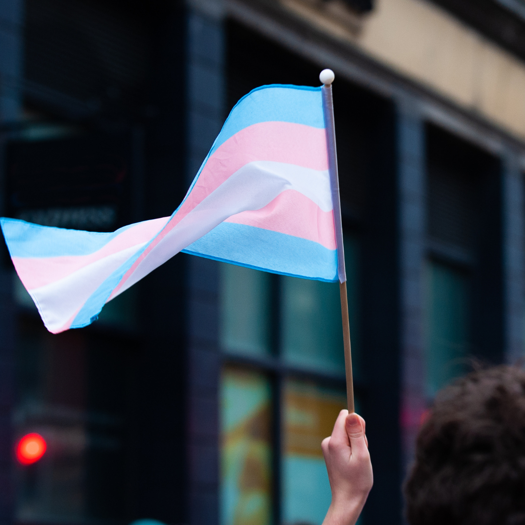 Hand waving a trans flag