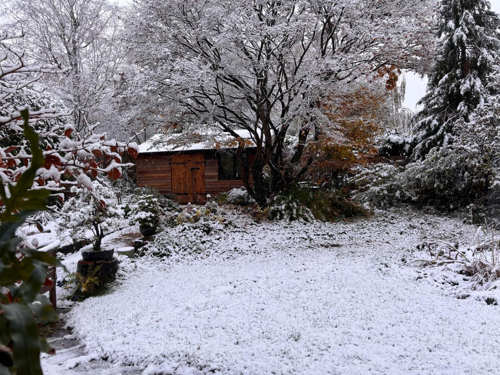 A snow-filled garden